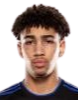 https://img.wwch.net/img/football/player/fb7fd3390bdc25307ce54843fe6472dd.png